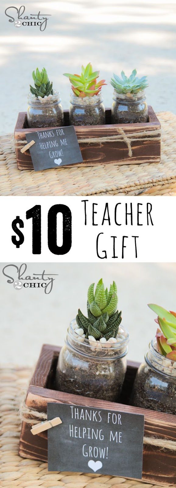 Teacher Gift - $10 succulent with FREE plans and printable via Shanty 2 Chic
