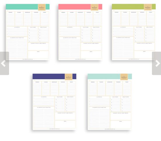 Operation Organize Your Day with daily printables - ShePlans Planners