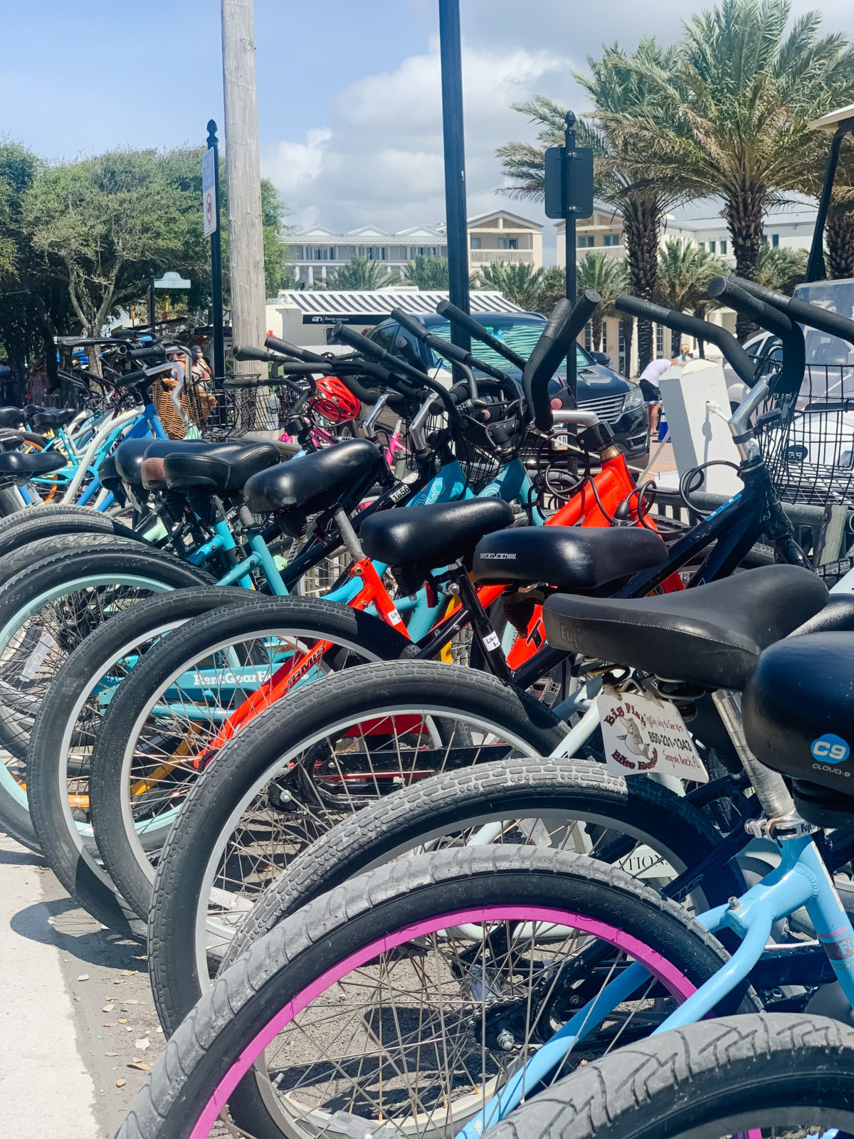 Bikes Seaside Florida 